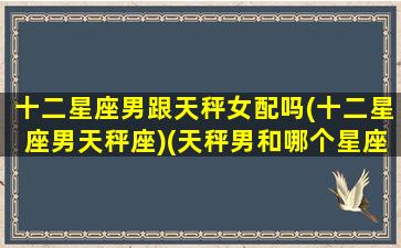 十二星座男跟天秤女配吗(十二星座男天秤座)(天秤男和哪个星座配对)