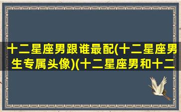 十二星座男跟谁最配(十二星座男生专属头像)(十二星座男和十二星座女谁最搭配)