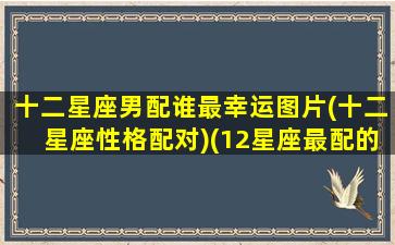 十二星座男配谁最幸运图片(十二星座性格配对)(12星座最配的星座(男朋友)