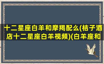 十二星座白羊和摩羯配么(桔子酒店十二星座白羊视频)(白羊座和摩羯座搭档)