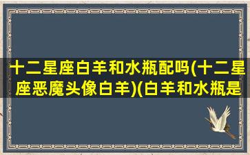 十二星座白羊和水瓶配吗(十二星座恶魔头像白羊)(白羊和水瓶是什么关系)