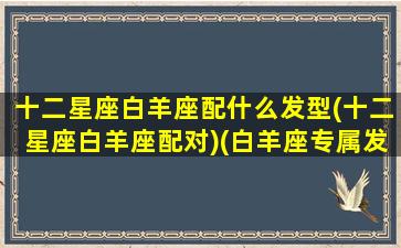 十二星座白羊座配什么发型(十二星座白羊座配对)(白羊座专属发型怎么扎)