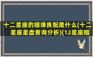 十二星座的姻缘良配是什么(十二星座星盘查询分析)(12星座姻缘)