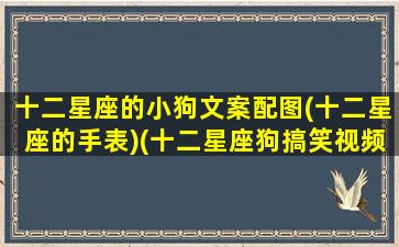 十二星座的小狗文案配图(十二星座的手表)(十二星座狗搞笑视频)