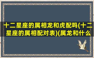 十二星座的属相龙和虎配吗(十二星座的属相配对表)(属龙和什么星座相冲)