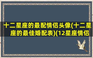 十二星座的最配情侣头像(十二星座的最佳婚配表)(12星座情侣配对图)