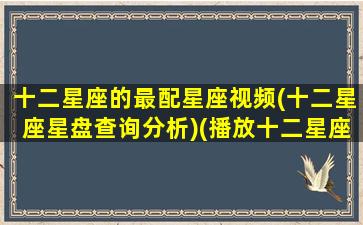 十二星座的最配星座视频(十二星座星盘查询分析)(播放十二星座的配对)