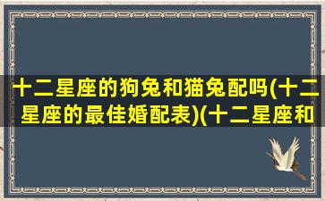 十二星座的狗兔和猫兔配吗(十二星座的最佳婚配表)(十二星座和什么犬最配)