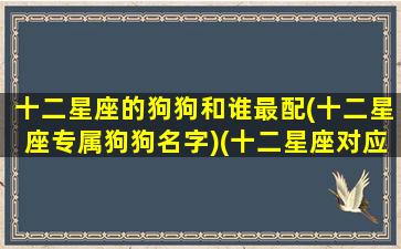 十二星座的狗狗和谁最配(十二星座专属狗狗名字)(十二星座对应的狗)