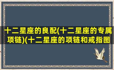 十二星座的良配(十二星座的专属项链)(十二星座的项链和戒指图片)