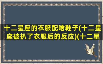 十二星座的衣服配啥鞋子(十二星座被扒了衣服后的反应)(十二星座的衣服谁最漂亮)