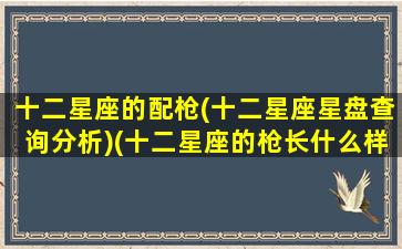 十二星座的配枪(十二星座星盘查询分析)(十二星座的枪长什么样)