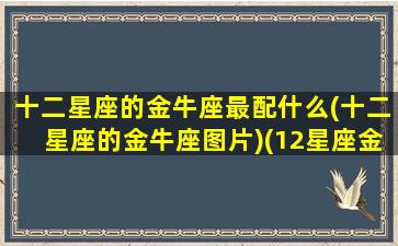 十二星座的金牛座最配什么(十二星座的金牛座图片)(12星座金牛座配成绩排第几名)