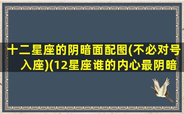 十二星座的阴暗面配图(不必对号入座)(12星座谁的内心最阴暗)