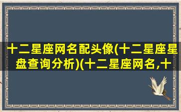 十二星座网名配头像(十二星座星盘查询分析)(十二星座网名,十二星座qq昵称)