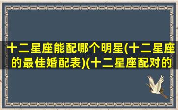 十二星座能配哪个明星(十二星座的最佳婚配表)(十二星座配对的明星)