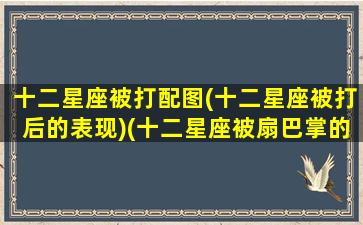 十二星座被打配图(十二星座被打后的表现)(十二星座被扇巴掌的反应)