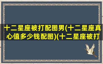 十二星座被打配图男(十二星座真心值多少钱配图)(十二星座被打后的反应)