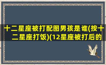 十二星座被打配图男孩是谁(按十二星座打饭)(12星座被打后的反应)