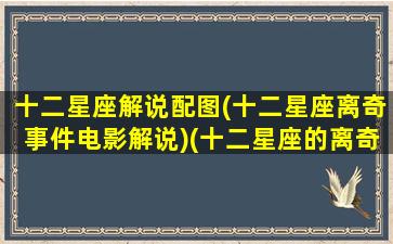 十二星座解说配图(十二星座离奇事件电影解说)(十二星座的离奇事件电影)