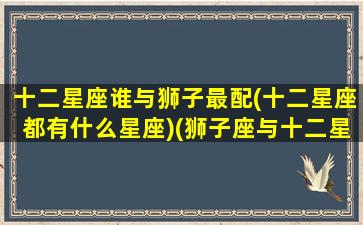 十二星座谁与狮子最配(十二星座都有什么星座)(狮子座与十二星座速配表)