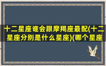 十二星座谁会跟摩羯座最配(十二星座分别是什么星座)(哪个星座跟摩羯座最般配)