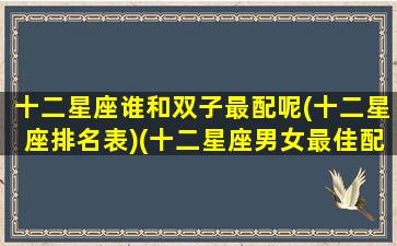 十二星座谁和双子最配呢(十二星座排名表)(十二星座男女最佳配对双子)