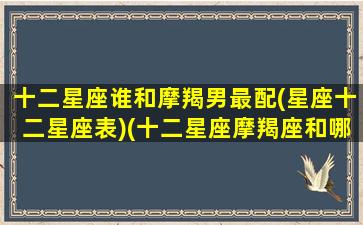 十二星座谁和摩羯男最配(星座十二星座表)(十二星座摩羯座和哪个星座是绝配)