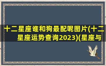 十二星座谁和狗最配呢图片(十二星座运势查询2023)(星座与狗)