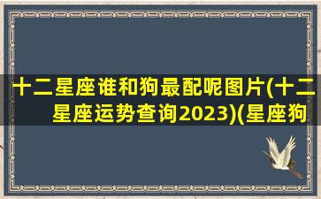 十二星座谁和狗最配呢图片(十二星座运势查询2023)(星座狗搭配)