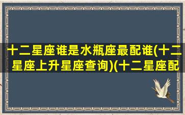 十二星座谁是水瓶座最配谁(十二星座上升星座查询)(十二星座配对水瓶座)