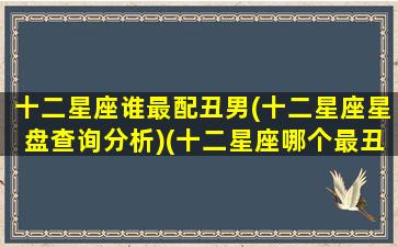 十二星座谁最配丑男(十二星座星盘查询分析)(十二星座哪个最丑男生)