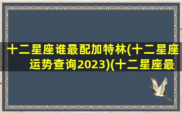 十二星座谁最配加特林(十二星座运势查询2023)(十二星座最佳搭配谁)