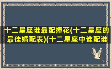 十二星座谁最配捧花(十二星座的最佳婚配表)(十二星座中谁配谁)