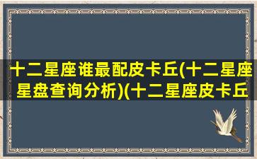 十二星座谁最配皮卡丘(十二星座星盘查询分析)(十二星座皮卡丘图片大全集)