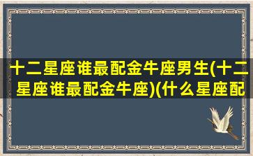 十二星座谁最配金牛座男生(十二星座谁最配金牛座)(什么星座配金牛男)