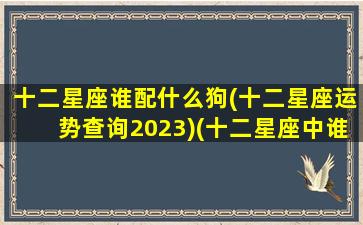 十二星座谁配什么狗(十二星座运势查询2023)(十二星座中谁和谁最配)