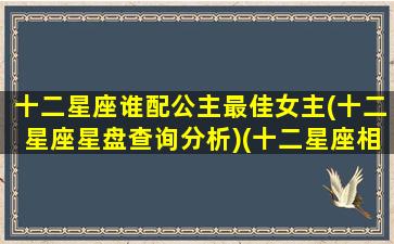 十二星座谁配公主最佳女主(十二星座星盘查询分析)(十二星座相对应的公主)