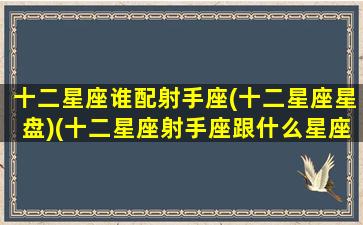 十二星座谁配射手座(十二星座星盘)(十二星座射手座跟什么星座最匹配)