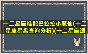 十二星座谁配巴拉拉小魔仙(十二星座星盘查询分析)(十二星座适合巴啦啦小魔仙里的谁)