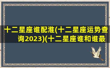 十二星座谁配淮(十二星座运势查询2023)(十二星座谁和谁最配大全)