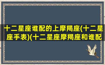 十二星座谁配的上摩羯座(十二星座手表)(十二星座摩羯座和谁配)