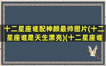 十二星座谁配神颜最帅图片(十二星座谁是天生漂亮)(十二星座谁是神仙颜值)