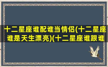 十二星座谁配谁当情侣(十二星座谁是天生漂亮)(十二星座谁跟谁是情侣)