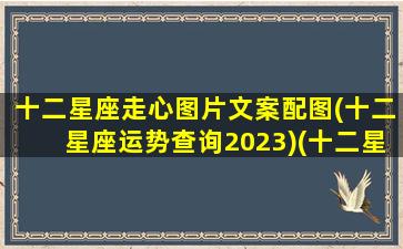 十二星座走心图片文案配图(十二星座运势查询2023)(十二星座图片大全12张带字解释)