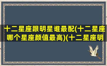 十二星座跟明星谁最配(十二星座哪个星座颜值最高)(十二星座明星配对)