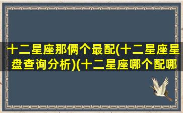 十二星座那俩个最配(十二星座星盘查询分析)(十二星座哪个配哪个)