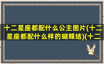 十二星座都配什么公主图片(十二星座都配什么样的蝴蝶结)(十二星座配对的公主)