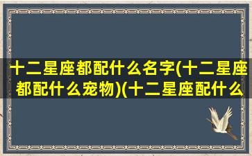 十二星座都配什么名字(十二星座都配什么宠物)(十二星座配什么星座最好)