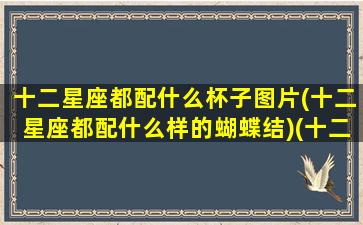 十二星座都配什么杯子图片(十二星座都配什么样的蝴蝶结)(十二星座配对什么衣服最好看)